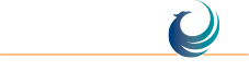 division-laundry-color-logo